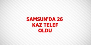 31460310712943826365tasarimli