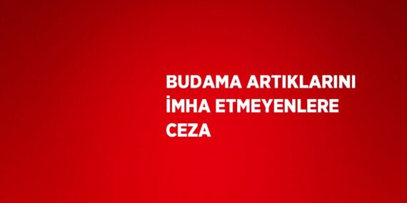 BUDAMA ARTIKLARINI İMHA ETMEYENLERE CEZA