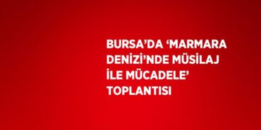 31461281752491131365