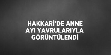 31472260742367127771tasarimli