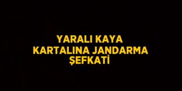 31475250792009027795tasarimli