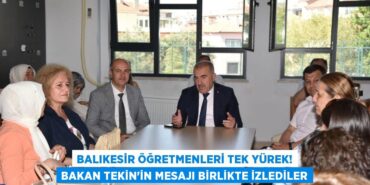 31481291302056325873tasarimli