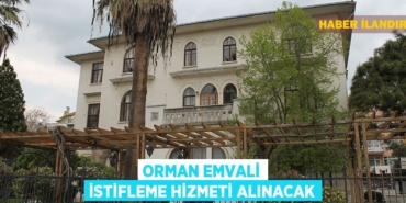 31484202863026121749tasarimli