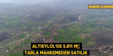 31484255192028120544tasarimli