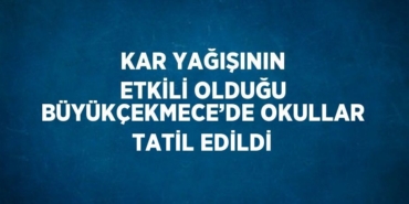 31485300302706229341tasarimli