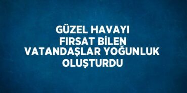 31486267162059721734tasarimli