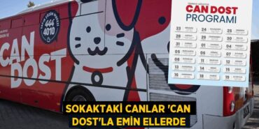 31491204692104930544tasarimli