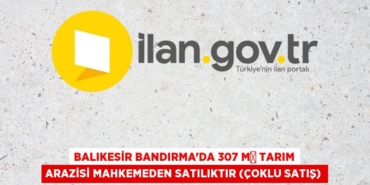 31492310743143720890tasarimli