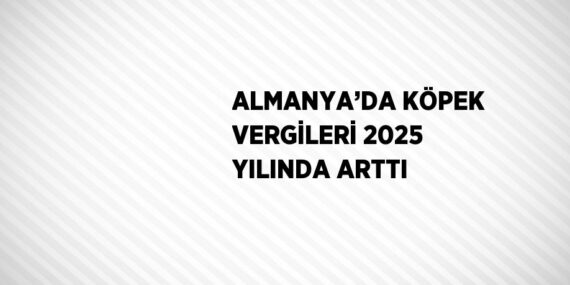 ALMANYA’DA KÖPEK VERGİLERİ 2025 YILINDA ARTTI