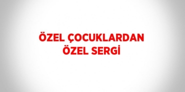 31512266052056831541tasarimli
