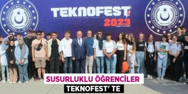 31513268792319020601tasarimli