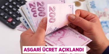 31517306442819431982