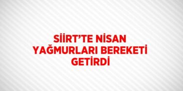 31523253493019926655tasarimli