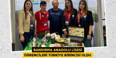 31529233422418625662tasarimli