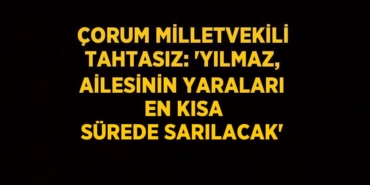 31532290422098128919tasarimli