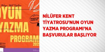 31533213202781130525