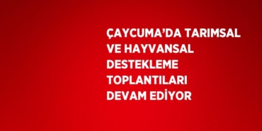 31533255722211630431