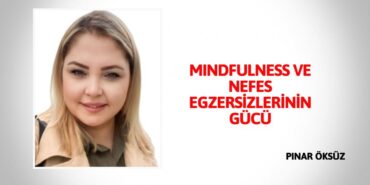 31533281302856628493