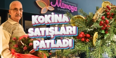 31541287362135724262