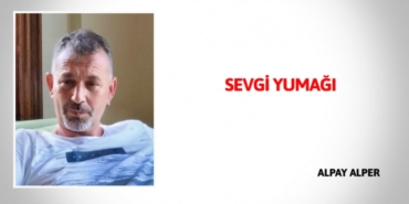 31542303432951829288