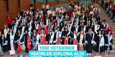 31543257892578228642tasarimli