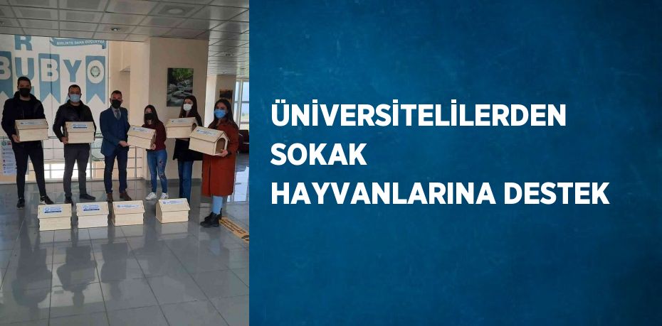 31543302542436122349