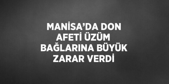 MANİSA’DA DON AFETİ ÜZÜM BAĞLARINA BÜYÜK ZARAR VERDİ