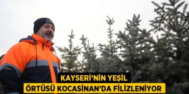 31549304242115726055tasarimli