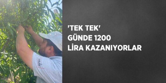 ‘TEK TEK’ GÜNDE 1200 LİRA KAZANIYORLAR