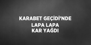 31555221653171523228tasarimli