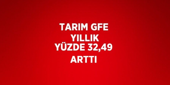 TARIM GFE  YILLIK YÜZDE 32,49 ARTTI
