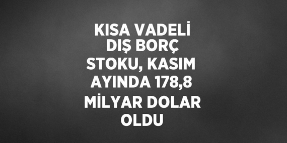 KISA VADELİ DIŞ BORÇ STOKU, KASIM AYINDA 178,8 MİLYAR DOLAR OLDU