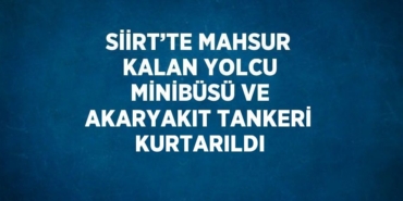 31557309192161030125tasarimli