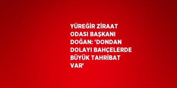 YÜREĞİR ZİRAAT ODASI BAŞKANI DOĞAN: ‘DONDAN DOLAYI BAHÇELERDE BÜYÜK TAHRİBAT VAR’