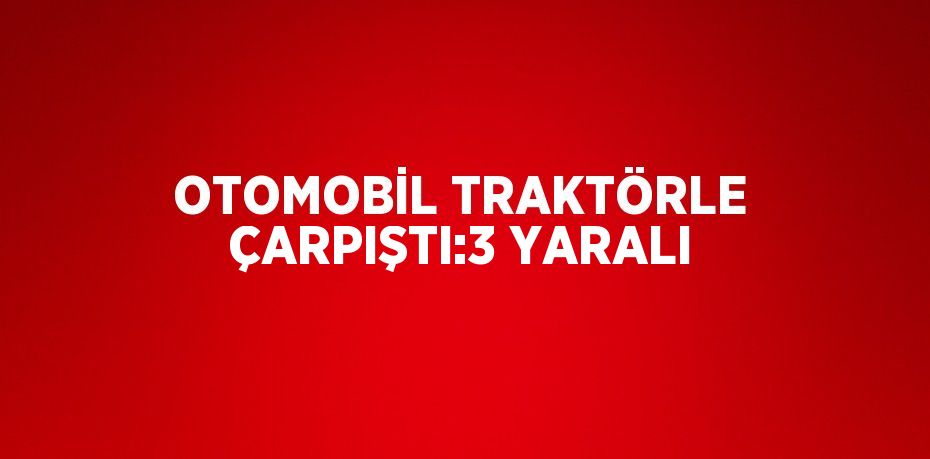 31563302442383829745tasarimli