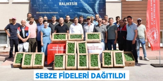 SEBZE FİDELERİ DAĞITILDI