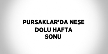 31565294732454125308tasarimli