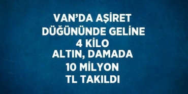 31569297922853828436tasarimli