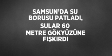 31570278622348430566tasarimli