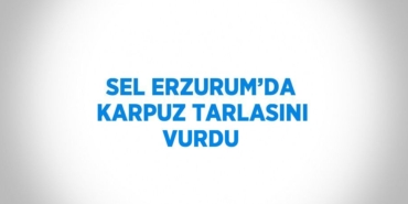 31573253553093721163tasarimli