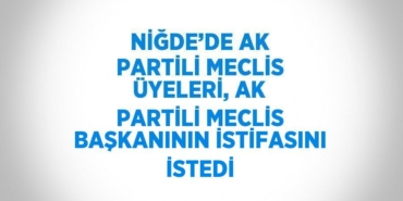 31574225962008528512tasarimli