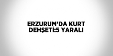 31574274932230220704tasarimli