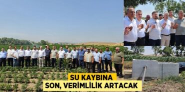 31575220712982329501tasarimli