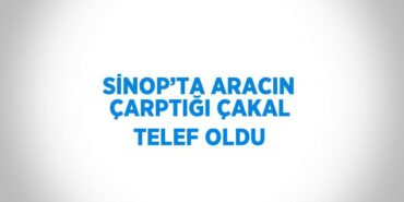 31577245872537423553tasarimli