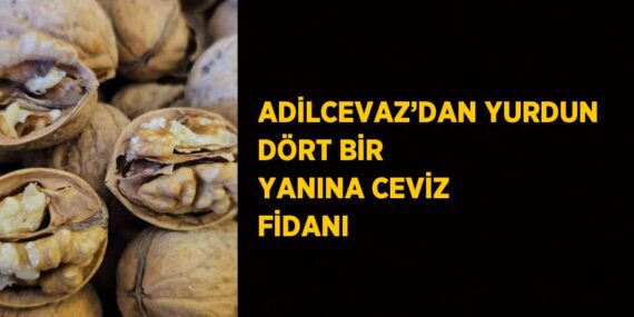 ADİLCEVAZ’DAN YURDUN DÖRT BİR YANINA CEVİZ FİDANI