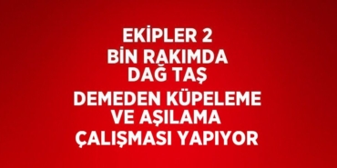 31580224562052531822tasarimli