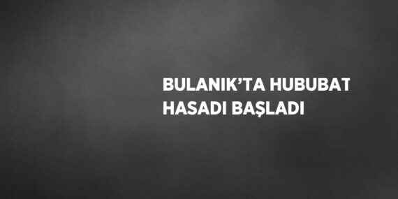 BULANIK’TA HUBUBAT HASADI BAŞLADI