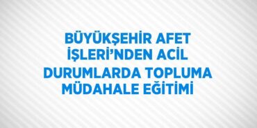 31581216633166128898tasarimli