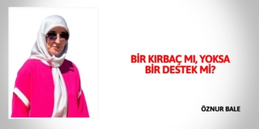 31581259312362024741