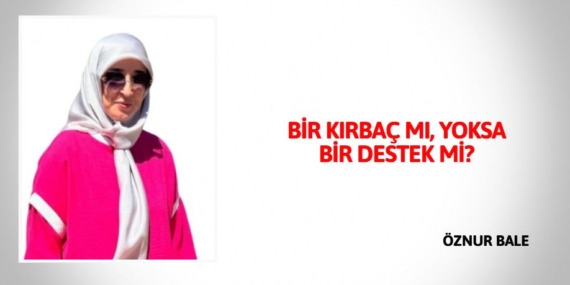 BİR KIRBAÇ MI,  YOKSA BİR DESTEK Mİ?